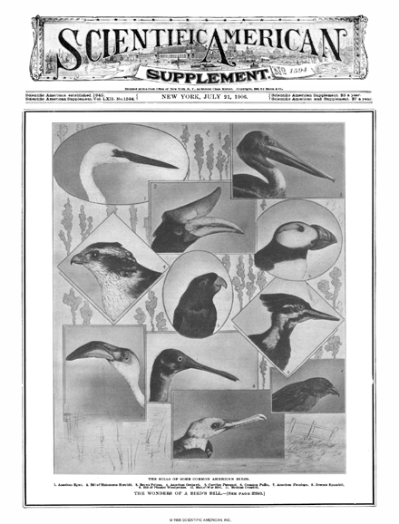 SA Supplements Vol 62 Issue 1594supp