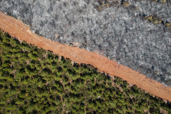 Aerial view of forest fire