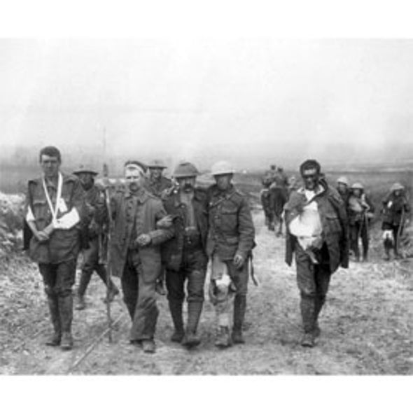 Zooniverse: Operation War Diary