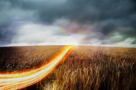 Light trails moving across wheat fields