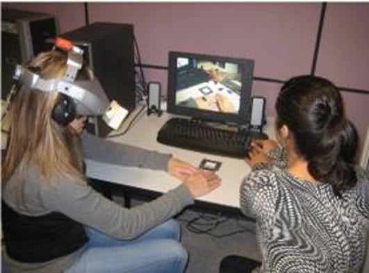 Virtual Revulsion Therapy: Pixelated Pests Help Treat Cockroach Phobia