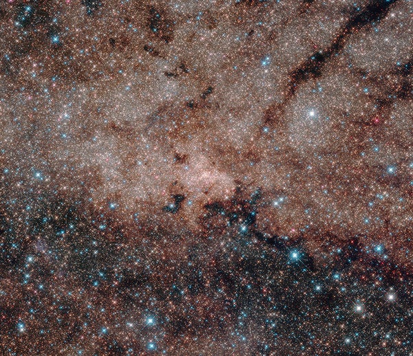 Beautiful stars of the Milky Way