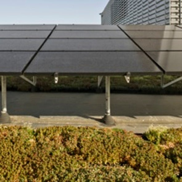 IEA: Solar Power Could Produce Nearly One-Quarter of Global Electricity by 2050