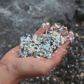 Microplastic scooped out of the shallow water at Kamilo Beach on the Big Island of Hawaii.