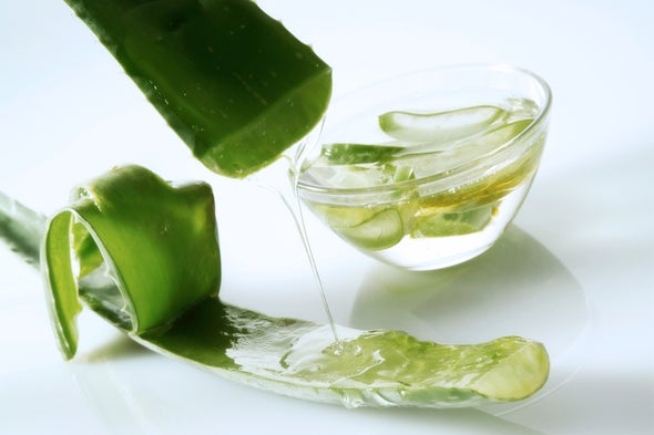 What Are the Benefits of Drinking Aloe Juice?