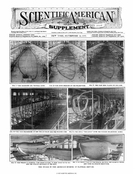 SA Supplements Vol 64 Issue 1654supp