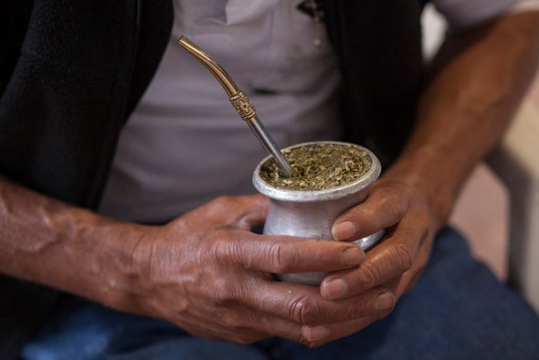 What Are The Health Benefits Of Yerba Mate Scientific American