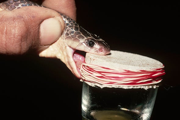 Can Science Rob Snakes of Their Deadliest Weapon?