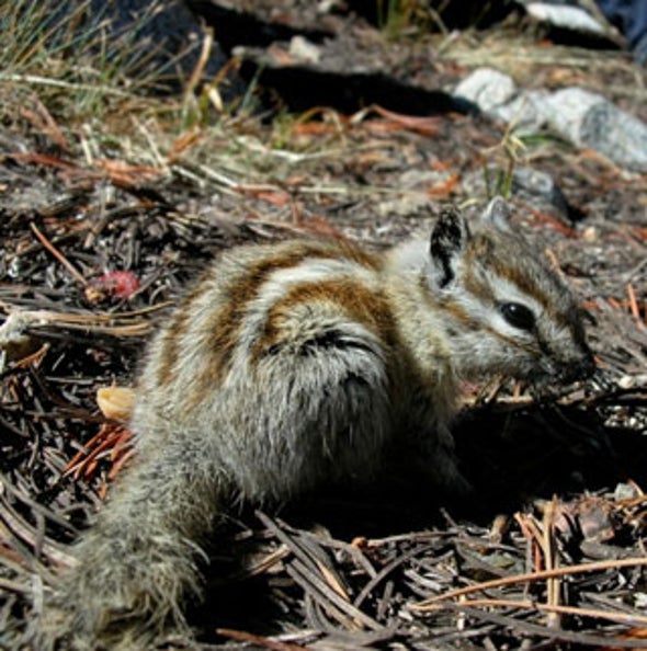 New Homes on the Range: Species Shift Across Yosemite