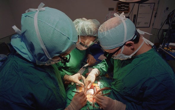 Primate Conflicts Play Out in the Operating Room