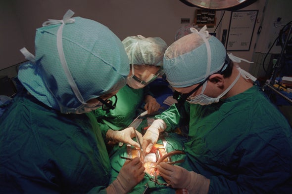 Primate Conflicts Play Out in the Operating Room