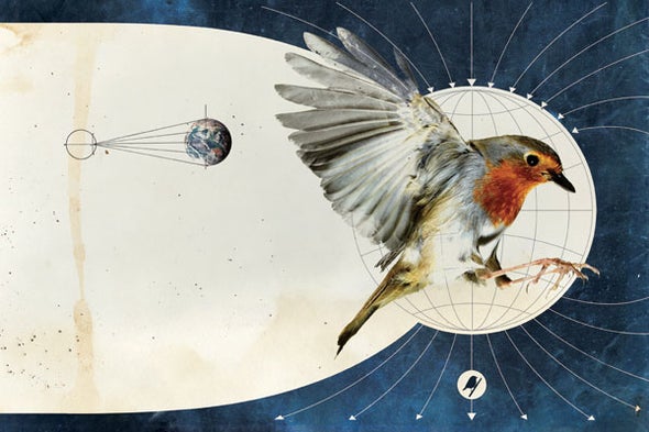 Living in a Quantum World