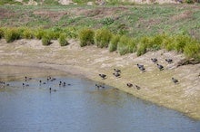 Depleted Groundwater Could Be Refilled by Borrowing a Trick from Solar Power