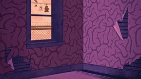 Does Poverty Shape the Brain?