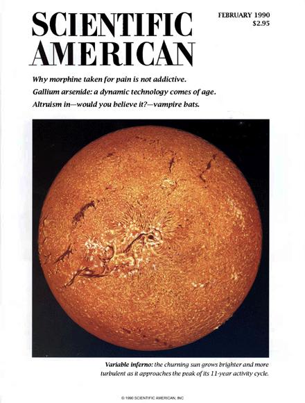 Scientific American Magazine Vol 262 Issue 2