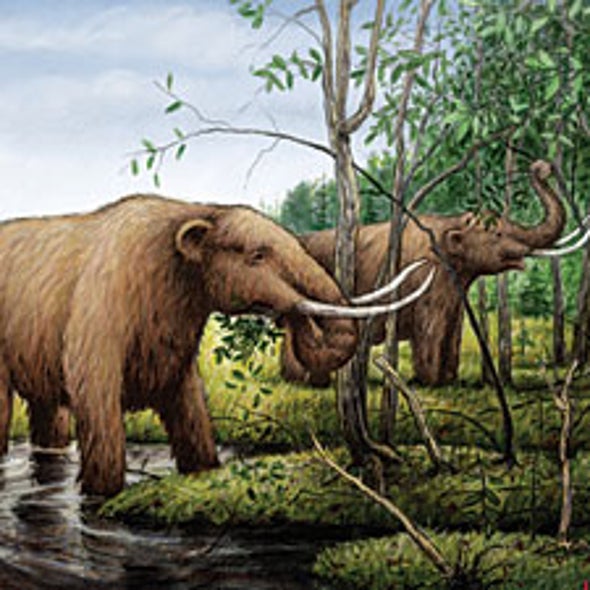 Lost Giants: Disparate Clues in the Mammoth Extinction Debate