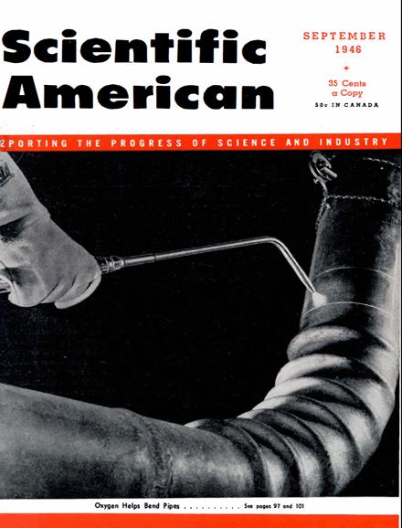 Scientific American Magazine Vol 175 Issue 3
