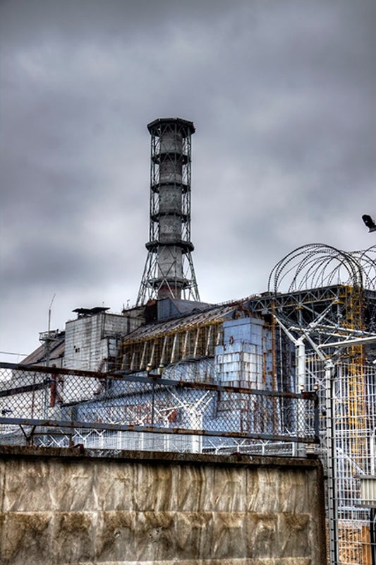 Chernobyl Wildlife Make a Comeback Despite Contamination