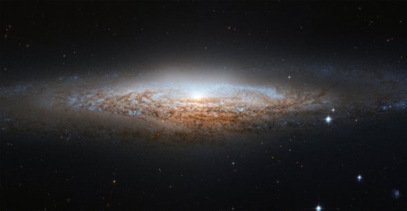 <i>Galactica stellaris</i>: Astronomers Build a Family Tree for the Milky Way's Stars