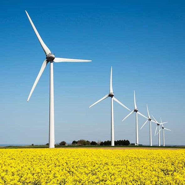 How Renewable Energy Could Make Climate Treaties Moot