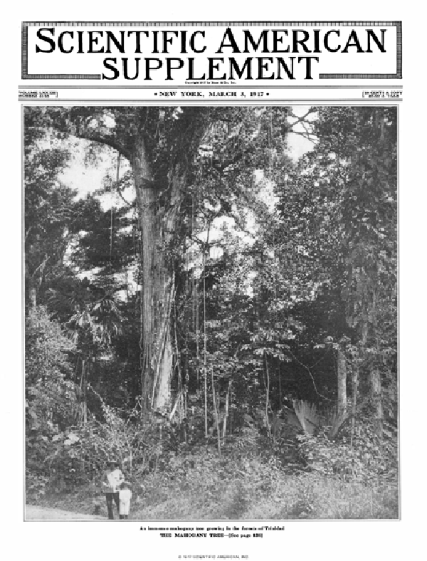 SA Supplements Vol 83 Issue 2148supp