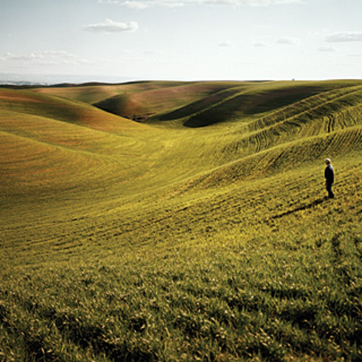 How pheasant hunting can save rural Iowa, farming and the environment