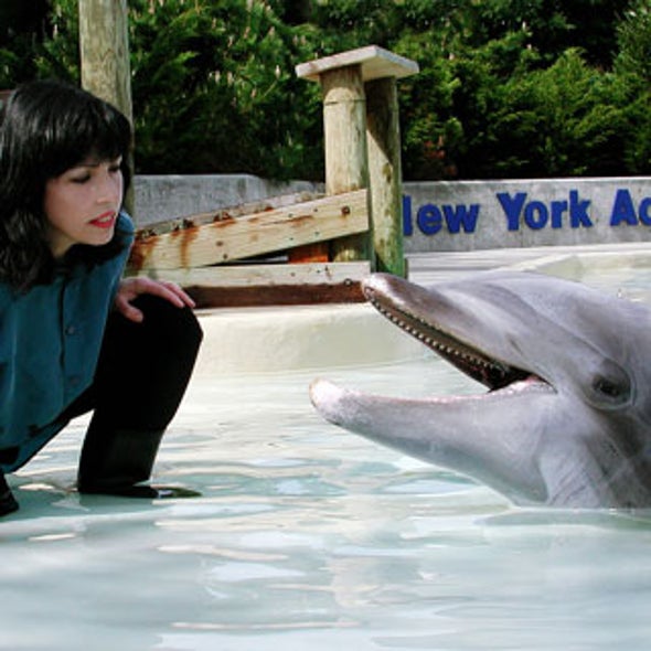 whistles with dolphins scientific american