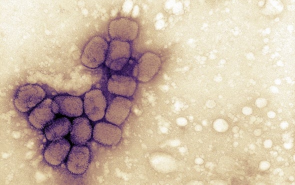 Do Vaccines Stop COVID Transmission? What We Know From Other Diseases.