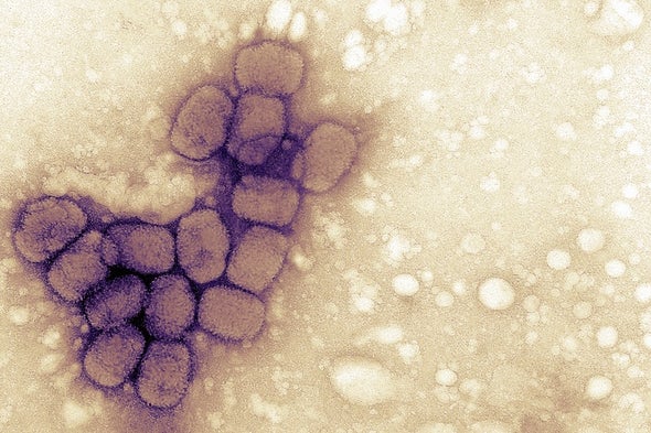 Do Vaccines Stop COVID Transmission? What We Know From Other Diseases.