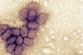 Vaccines Need Not Completely Stop COVID Transmission to Curb the Pandemic