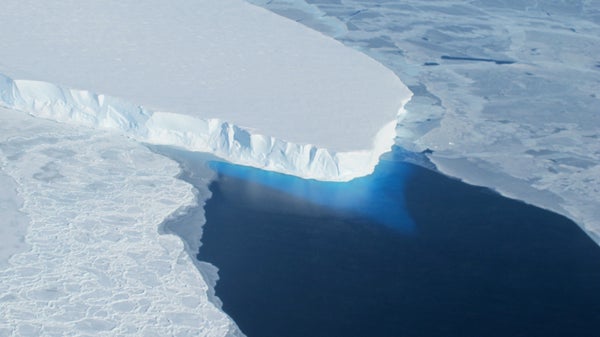 Thwaites Glacier edge showing loss.