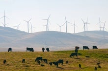 Wind Power Will Expand with Larger Turbines but Could Face Pushback