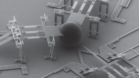 How to Get New Genes Into a Cell