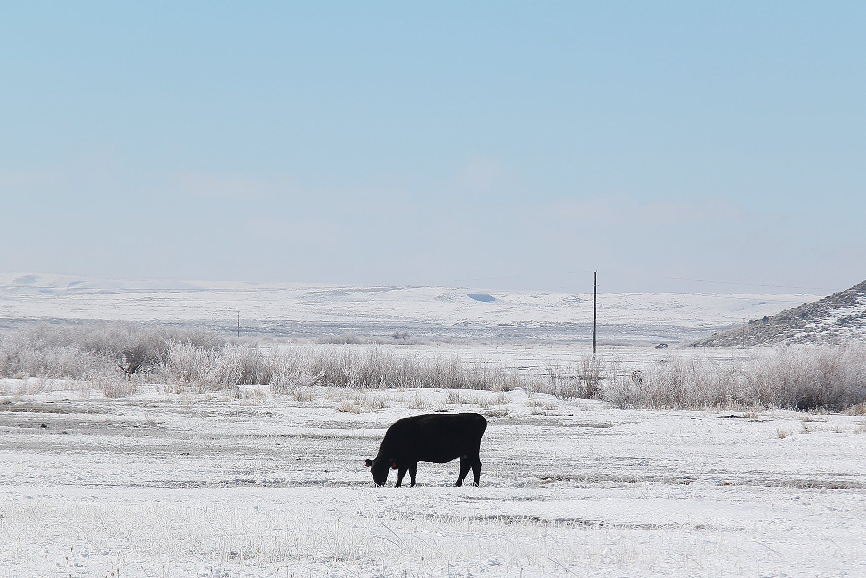 Where Farmers' Almanacs' Weather Predictions Come From