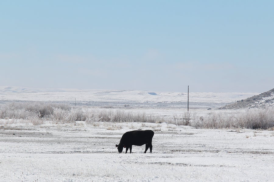 Where Farmers' Almanacs' Weather Predictions Come From Scientific