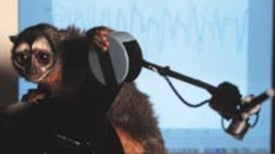 Controlling Robots with the Mind