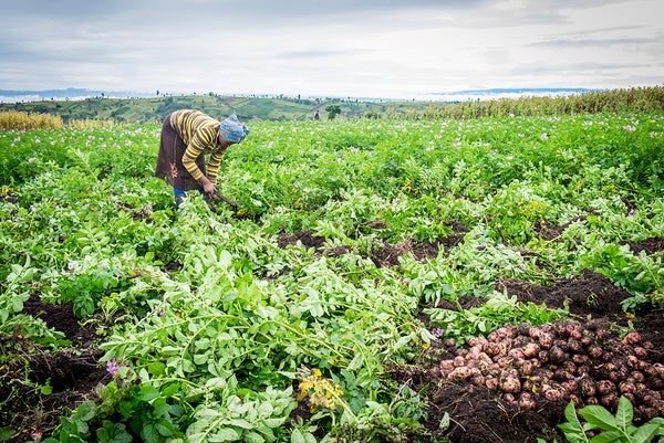 essay on world hunger and poverty