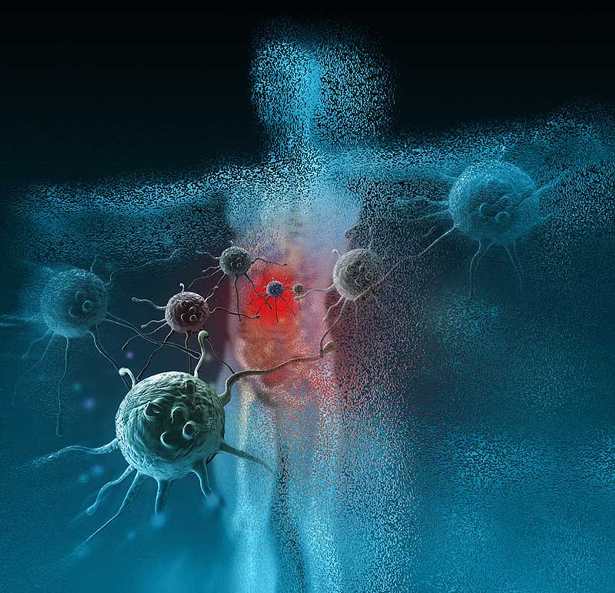 Studies Clash over Causes of Cancer | Scientific American