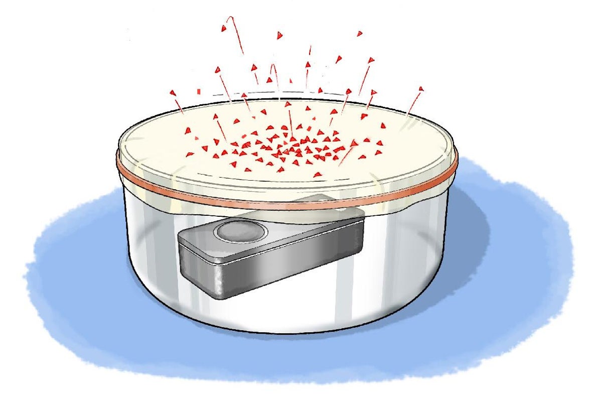 How sound waves reach the brain Video & Image