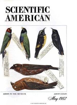 Scientific American Magazine Vol 196 Issue 5