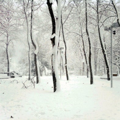 Community Collaborative Rain, Hail & Snow Network (CoCoRaHS)