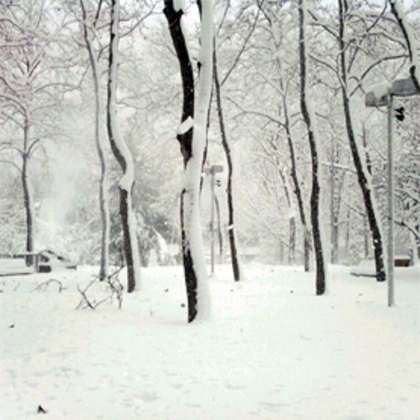Community Collaborative Rain, Hail & Snow Network (CoCoRaHS)