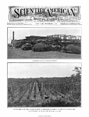 December 04, 1909