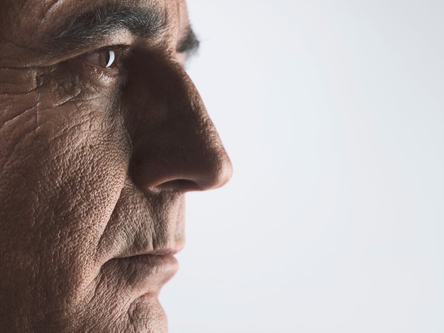 The Brain's Autopilot Mechanism Steers Consciousness Scientific American