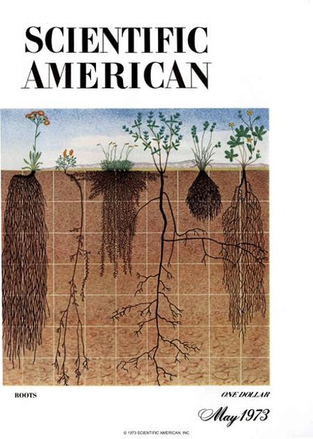 Scientific American Logo