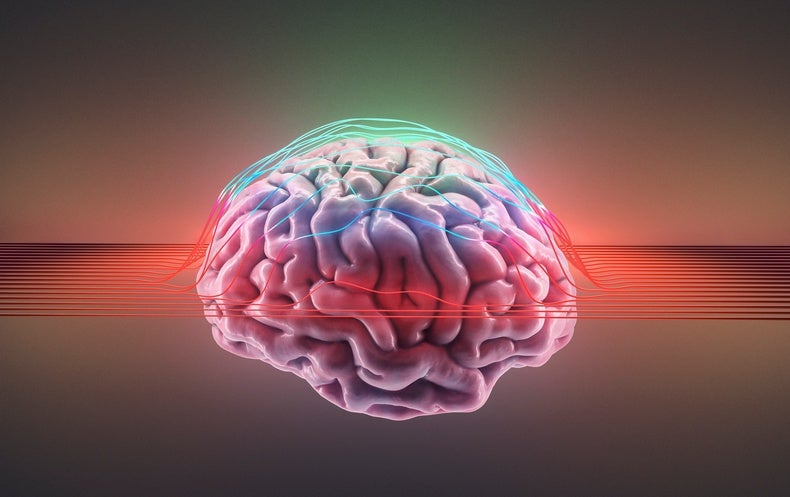 This Year’s Most Thought-Provoking Brain Discoveries