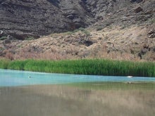 How Nature Helps Body and Soul