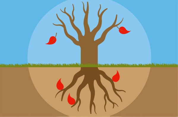 Illustration of a tree with red leaves falling.