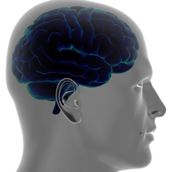 Mysterious Brain Cells Linked to Blood Flow