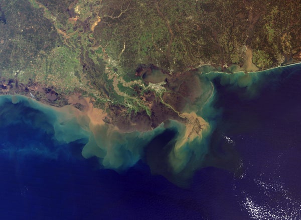 A satellite image of the Gulf of Mexico.